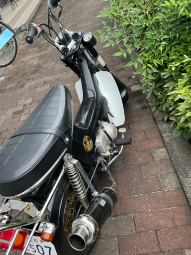 シャリー国産