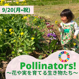 Pollinators〜花や実を育てる生き物たち〜