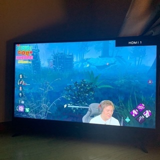 テレビ 40型MAXZEN