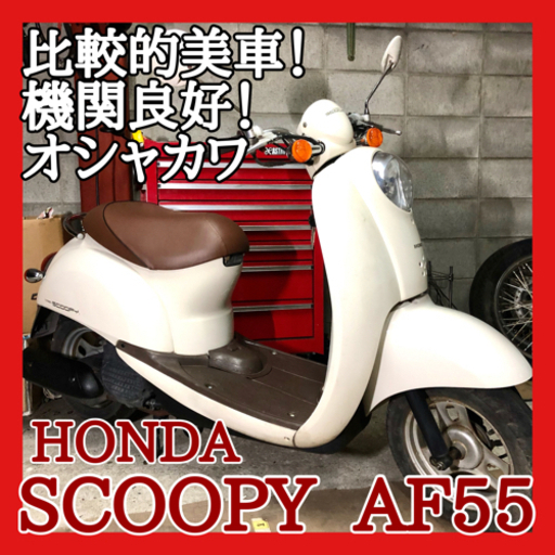 ☆安心の点検整備.動画☆ホンダ スクーピー AF55☆おしゃれ可愛く人気の１台！綺麗に好調に仕上がっております！