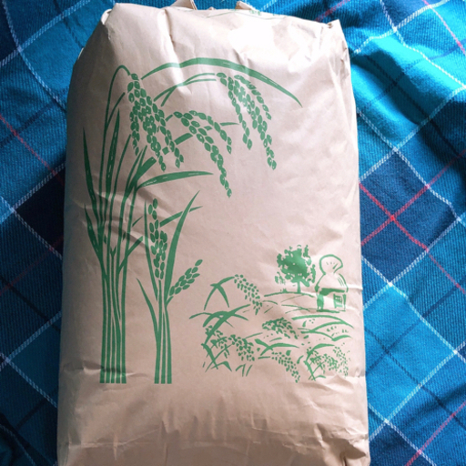 令和3年度産 コシヒカリ 玄米 | ddpu.co.uk