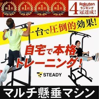 チンニングスタンド 懸垂器具 懸垂スタンド