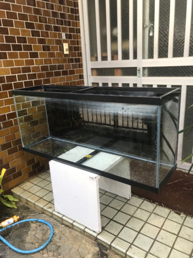 アメリカ製120㎝水槽 薄型で高さある特殊サイズ