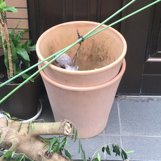 テラコッタ 植木鉢 2個