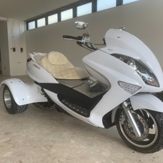【トライク】メーカー　ICEBEAR 200cc