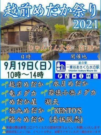中止 改良メダカイベント福井県嶺北 ちょこ 一乗谷の地域 お祭りのイベント参加者募集 無料掲載の掲示板 ジモティー