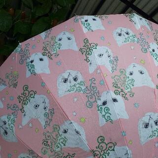 女性のみ❤️HOKUSAI猫と唐草模様の和傘(大きめ)台風ok