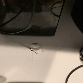 90センチ水槽 ライト 蓋 棚 エアポンプ×2 外部フィルター おまけ付