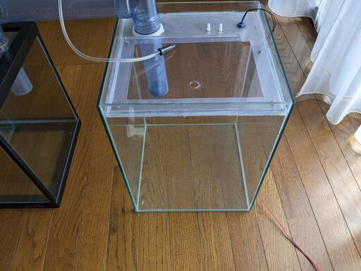 水槽　30cm （取引終了しました。）