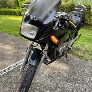 絶好調!!!!ゼルビス250 実働　見に来てね！！