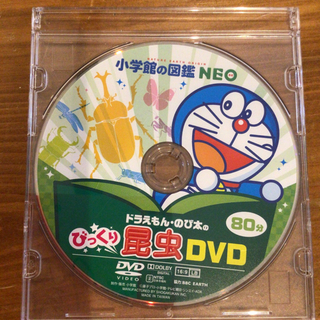 「小学館の図鑑NEO 昆虫」付録DVD