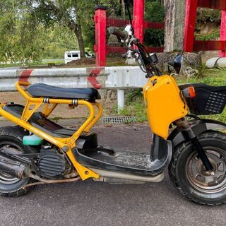 豊田市 ホンダ ズーマー 黄 実動 210826