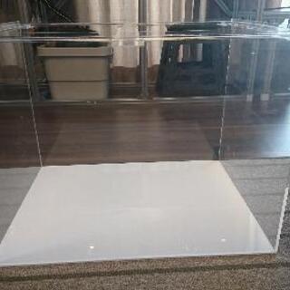受け渡し予定者確定]60㎝ワイドアクリル水槽(底白、厚み5㎜)、ADA
