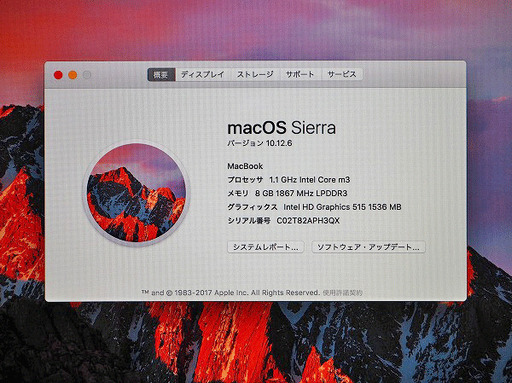 苫小牧バナナ】Apple/アップル MMGL2J/A MacBook ローズゴールド 12型