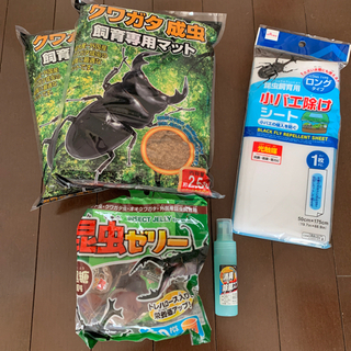 クワガタ飼育マット等セットで差し上げます。