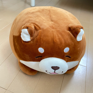 中古忠犬もちしばが無料 格安で買える ジモティー