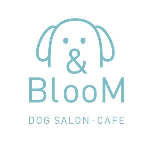 10月オープン 自由が丘初ドッグカフェ併設トリミングサロン Bloom 自由が丘のトリマーの正社員の求人情報 株式会社ebleas ジモティー