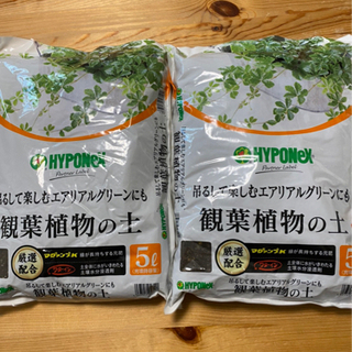 観葉植物の土 200円→100円