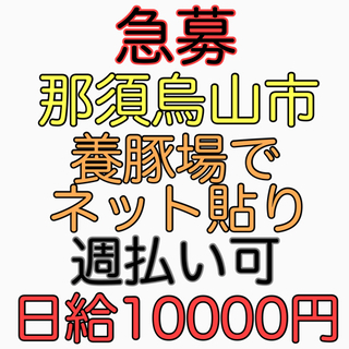 那須烏山市　養豚場でネット貼り　週払い！