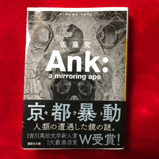 Ank A Mirroring Ape 佐藤 究テスカトリポカ Wlf 三条の家具の中古あげます 譲ります ジモティーで不用品の処分