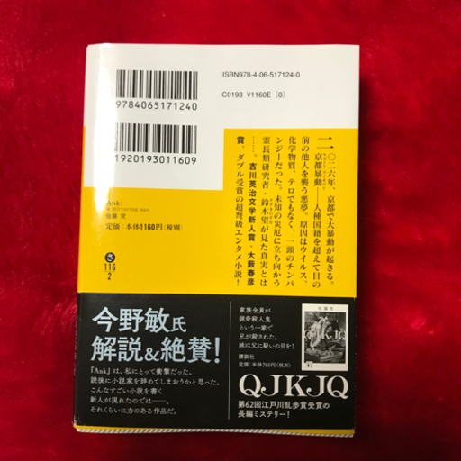 Ank A Mirroring Ape 佐藤 究テスカトリポカ Wlf 三条の家具の中古あげます 譲ります ジモティーで不用品の処分