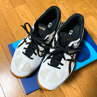 【ネット決済】asics バレーボールシューズ　レディース