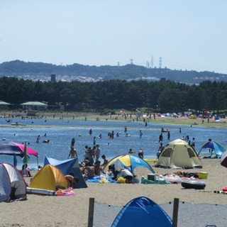 横浜の海の公園に海水浴に行きませんか？