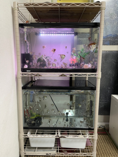 水槽セット