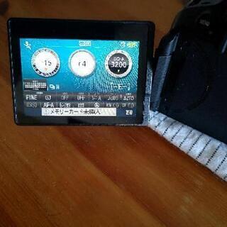 値下げしました Nikon D5300 ダブルズームキット 社外バッテリー2個と  