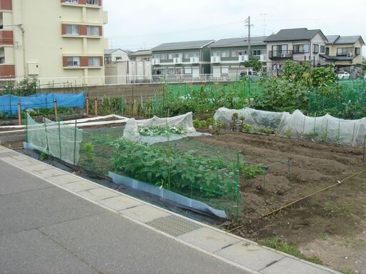 畑 家庭菜園用 貸します 初心者でも大丈夫です 鈴鹿 ｓｚ 三日市の貸したいの助け合い ジモティー