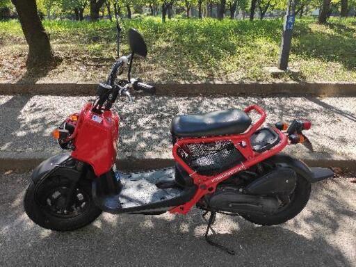 HONDA ZOOMER ホンダ ズーマー 赤