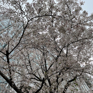 🌻🌈お話しどころ"京極堂"はじめました🏯🎡