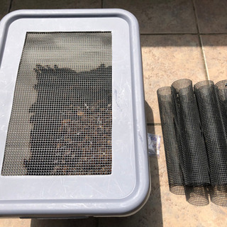 その他 1,000匹以上 デュビア 飼育セット