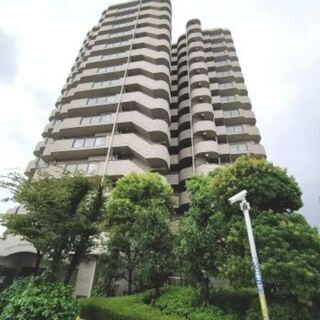 【八戸ノ里駅】15階建マンション🌟 最上階😲 南西向きバルコニー🌞