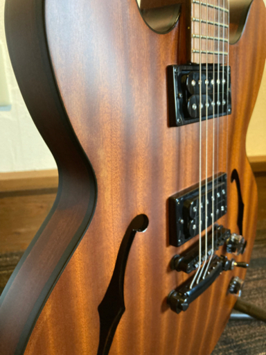 中古品 Epiphone Dot Ebony w/Hard Case - Sunshine Guitar 