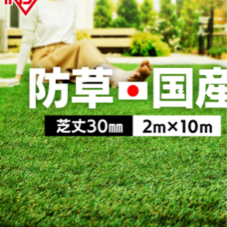 お早めに 観賞用 グラスジェムコーンの苗 2本 ヒカル 富吉のその他の中古あげます 譲ります ジモティーで不用品の処分