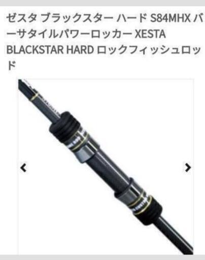 （二本）ロックフイッシュヒラメロッド