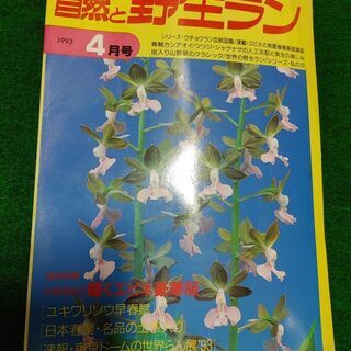 【ネット決済・配送可】自然と野生ラン　1993年4月 東京ドーム...