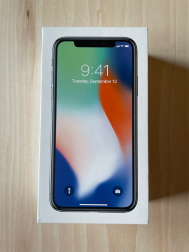 iPhone X 256GB