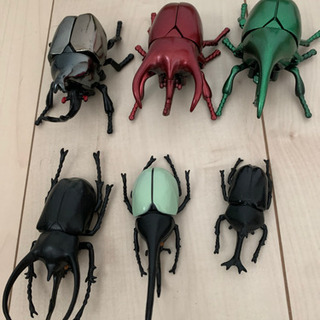 千葉県の中古カブトムシが無料 格安で買える ジモティー 千葉県の中古カブトムシが無料 格安で買える ジモティー