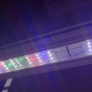 今週希望 アクロ トライアングル プロ900