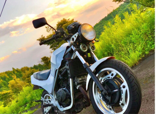 ホンダ Vt250z (mc08)