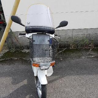 スズキモレットスクーター原チャリ商用車 スズキモレットスクーター原チャリ商用車 【公式通販】