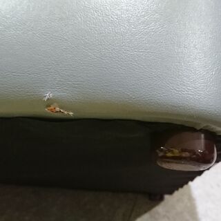 9/8販売済！karimoku｜Chitano｜カリモク家具｜チターノ｜Zシリーズ｜3人掛ソファ｜Z11953ZW