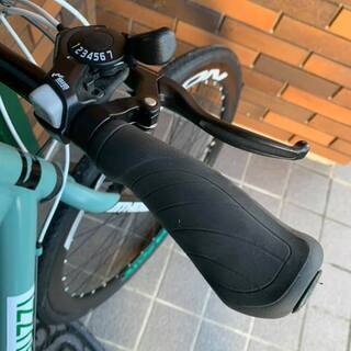 値下げオリジナル塗装キレイなクロスバイク