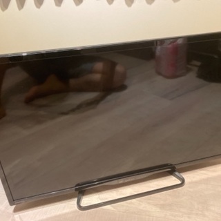 テレビ