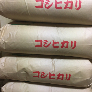 【ネット決済】令和2年　埼玉県産コシヒカリ30kg(玄米)2回目