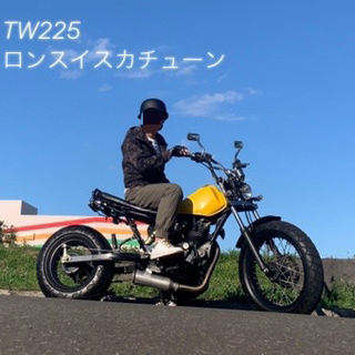 【ネット決済・配送可】tw225（ロンスイ、スカチューン）