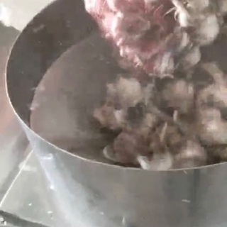 その他 にんにく玉ほぐし機械