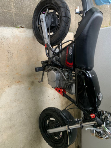 HONDA エイプ50 不動 | ega.org.eg